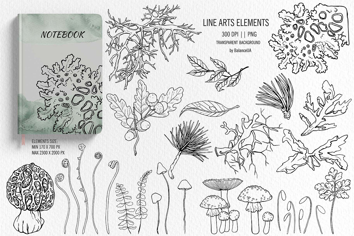 Mashrooms & Herbs Clipart, an Illustration by BalanceUA (Photo 4 of 10)