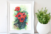 SALE! Watercolor poppy flowers, a Decorative Illustration by MaryAmi (Thumbnail 3 of 3)
