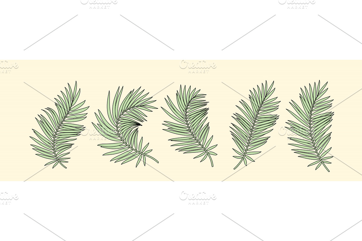 Set of vector silhouettes tropical, an Object Illustration by Liudmyla Matviiets