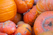 Fall Pumpkin Stock Bundle, a Holiday Photo by r.r.palacios (Thumbnail 11 of 15)