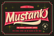 Mustank Casual Script + EXTRA, a Script Font by Rochart (Thumbnail 16 of 16)
