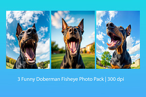 3 Funny Doberman Fisheye Photo Pack, an Animal Photo by StockVerse Creative