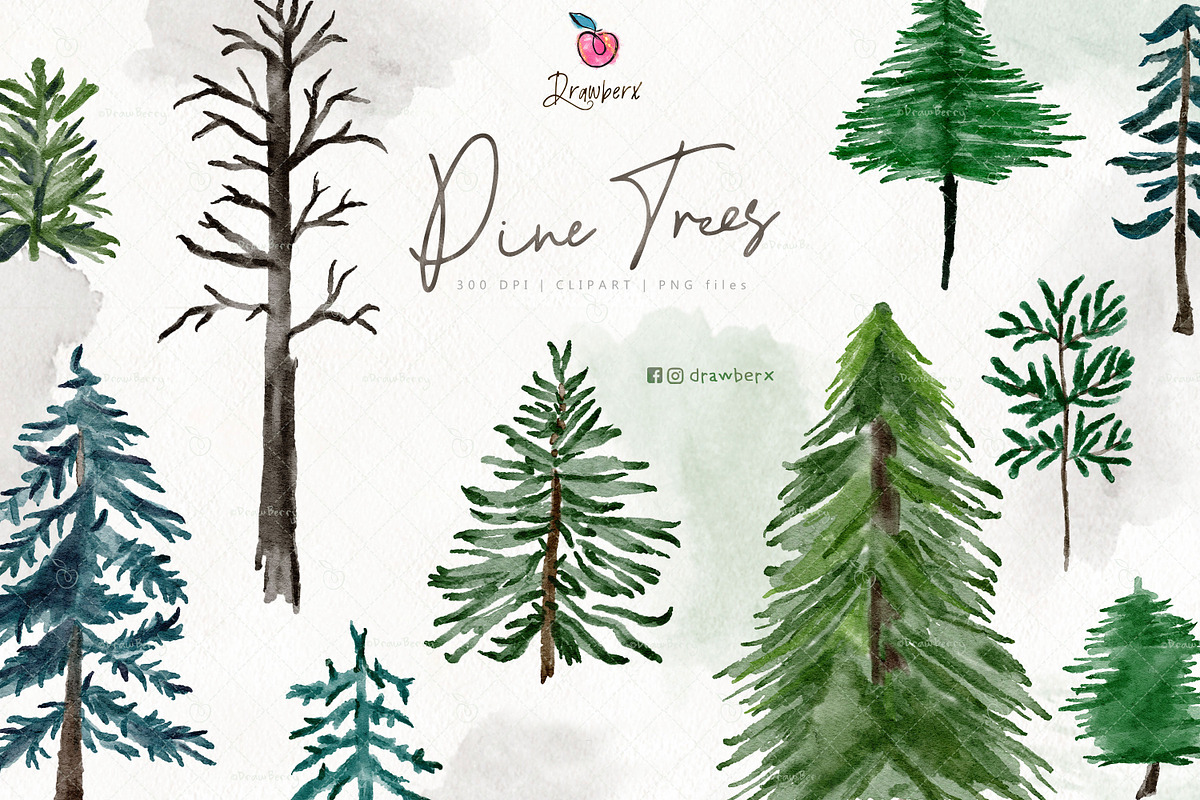 Pine Tree Clipart, Watercolor 109, an Illustration by Drawberx (Photo 3 of 9)