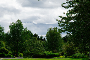 Scenic view of lush greenery under a cloudy sky in Reykjavik, Iceland, a Photo by AS photostudio