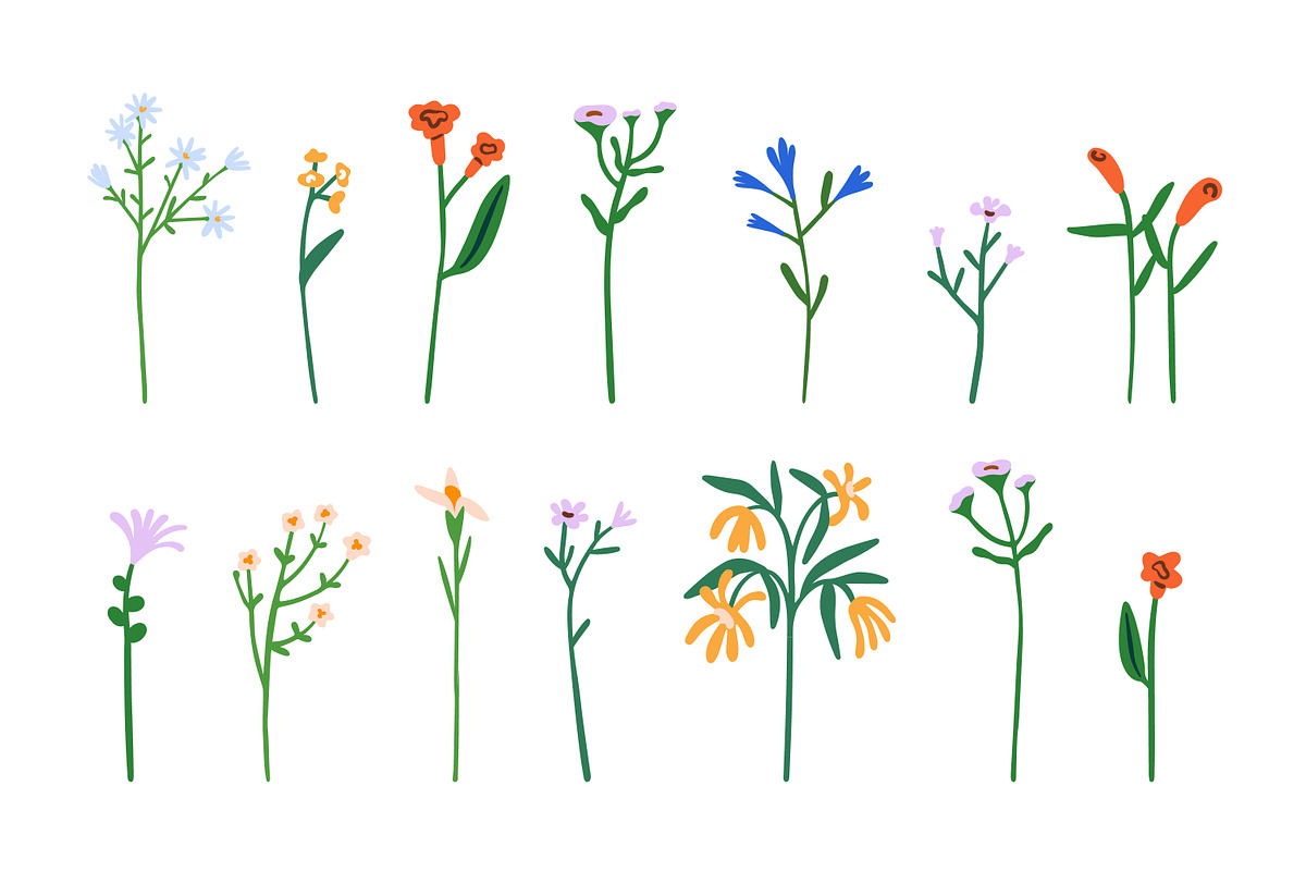 Flowers, blooming plants. Floral set, a Decorative Illustration by Good Studio (Photo 2 of 5)