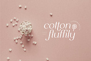 Celine - Delicate Playful Serif, a Serif Font by Bellevue Studio (Thumbnail 14 of 18)