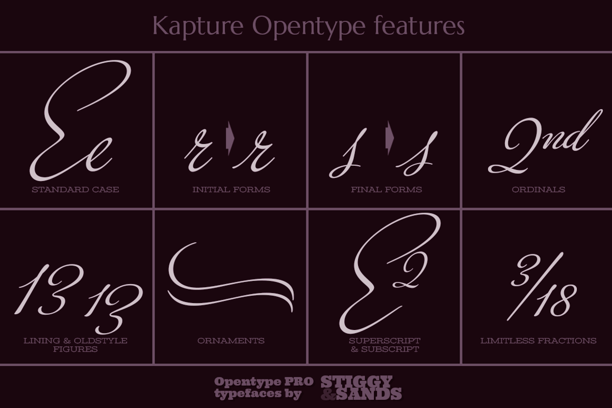 Kapture preview 4