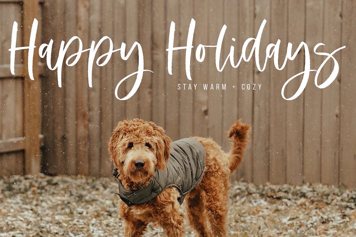 Silverway | Handwritten Brush Font, a Script Font by KA Designs (Photo 9 of 24)
