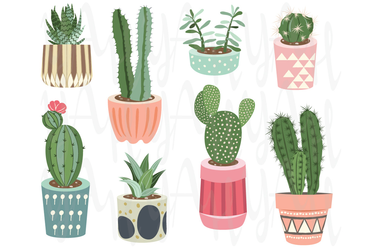 Cactus Collections, a Decorative Illustration by YenzArtHaut