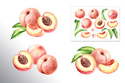 Ripe Peaches. Watercolor set, a Food Illustration by Daria Ustiugova (Thumbnail 2 of 23)