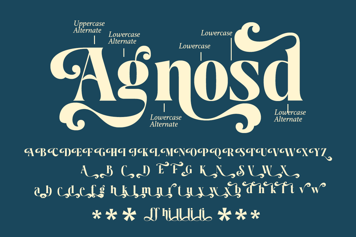 Ralite - Modern Serif Display Font, a Serif Font by Afkari Studio (Photo 11 of 12)