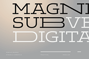 Aderos; Wide Slab Super Family, a Slab Serif Font by Eko Bimantara (Thumbnail 6 of 13)
