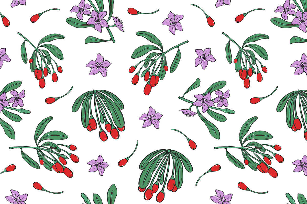 Goji berries set, seamless patterns, a Food Illustration by Good Studio (Photo 3 of 9)