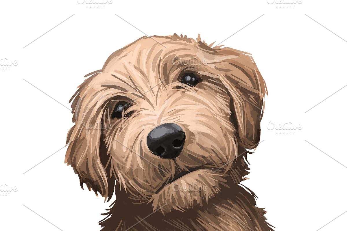 Dogs Cross Breeds 56 Animals Bundle, an Animal Illustration by Dneprstock (Photo 20 of 55)
