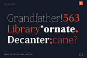 Captione, a Serif Font by Zafara Studios (Thumbnail 3 of 9)