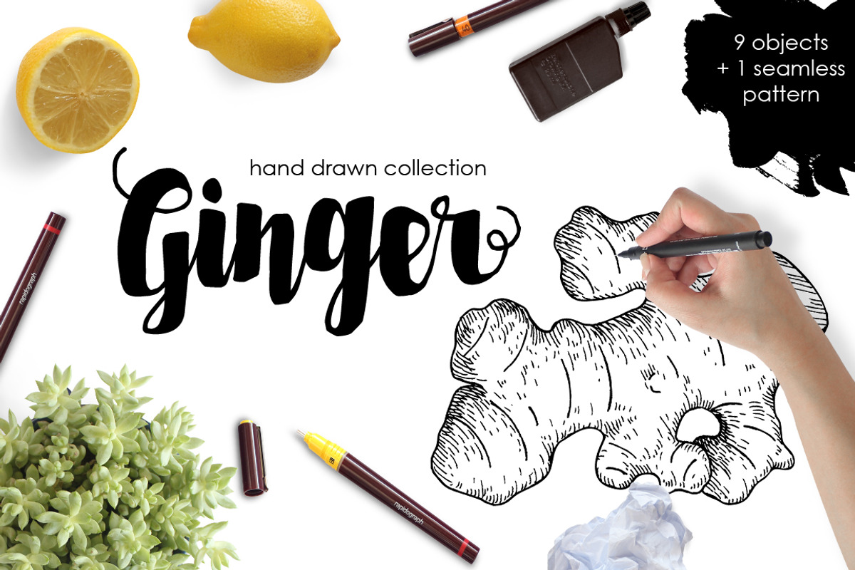 Ginger Drawing Set, a Food Illustration by Epine (Photo 1 of 3)