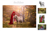 15 - PNG Wolves - Collection, an Object Graphic by DareToDream (Thumbnail 4 of 8)