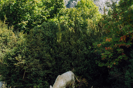 Mountain