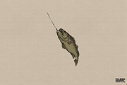 Rustic Bass Fishing Illustration, an Object Graphic by SharpMarketplace (Thumbnail 1 of 5)