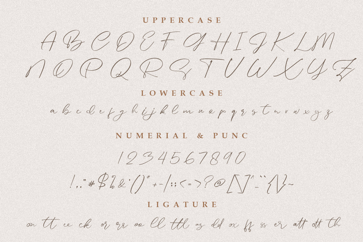 Astoria - Handwriting Font, a Handwritten Font by Mayofont (Photo 6 of 6)