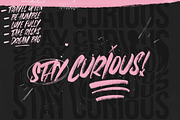 FRANCES BRUSH SVG Font, a Script Font by Cameron Humphries (Thumbnail 7 of 8)