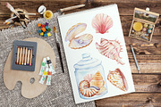Watercolor Seashells, an Illustration by Irina Diasli (Thumbnail 7 of 9)