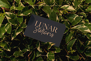 Moraine Parnley - Elegant Signature, a Handwritten Font by Youthlabs Studio (Thumbnail 9 of 12)