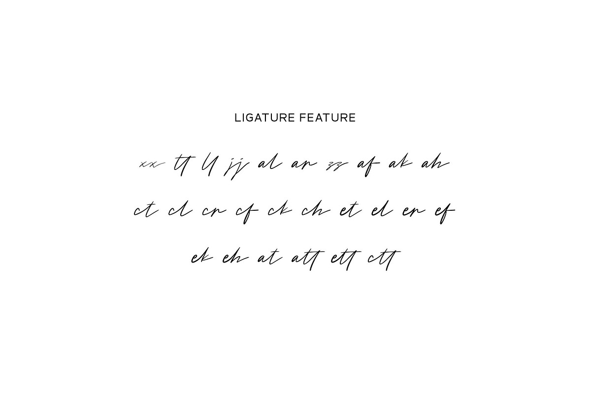Bahttra, a Script Font by Pustudio (Photo 4 of 7)