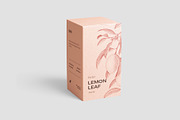 Box Mockup Bundle, a Packaging Mockup by GraphicWave (Thumbnail 14 of 22)