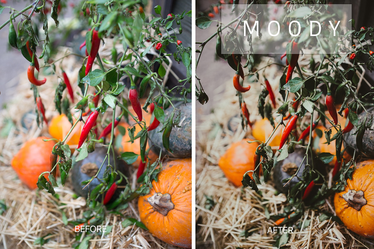 Desktop Lightroom Presets CRANBERRY, a Plug-in Add-On by Victoria Bee Presets (Photo 25 of 29)