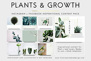 PLANTS & GROWTH Social Media Pack, an Object Graphic by Illumineer Media & Design (Thumbnail 4 of 6)
