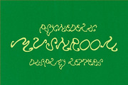 Mushroom Hand Drawn Psychedelic Font, a Handwritten Font by Madeline ODonoghue Design (Thumbnail 5 of 7)