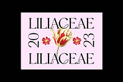 Grandeurs Modern Display Serif Font, a Serif Font by UICreative (Thumbnail 4 of 13)