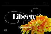 Display Series, a Serif Font by Attract Studio (Thumbnail 5 of 15)