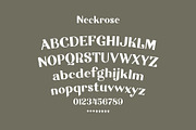 Neckrose - Serif Family Typeface, a Serif Font by Illousa (Thumbnail 3 of 10)