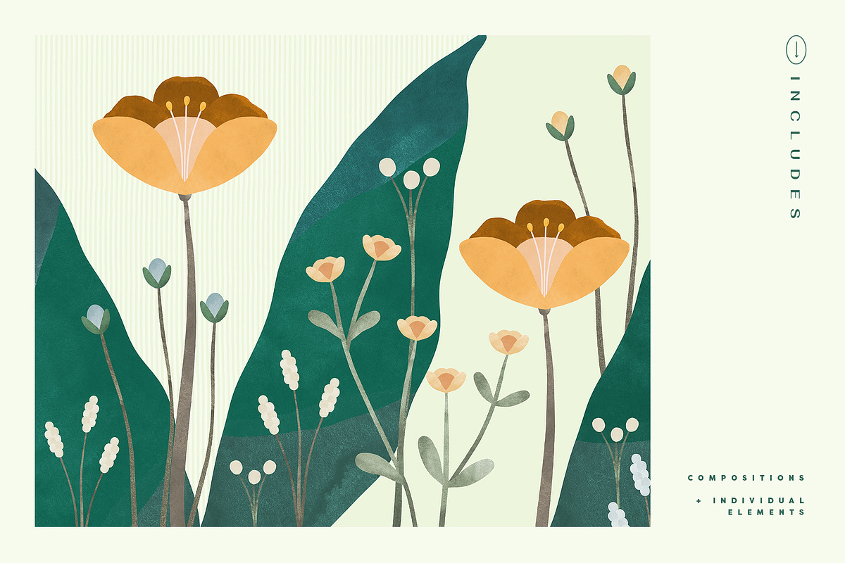 Painted Flowers and Compositions, an Object Graphic by Basia Stryjecka (Photo 6 of 19)