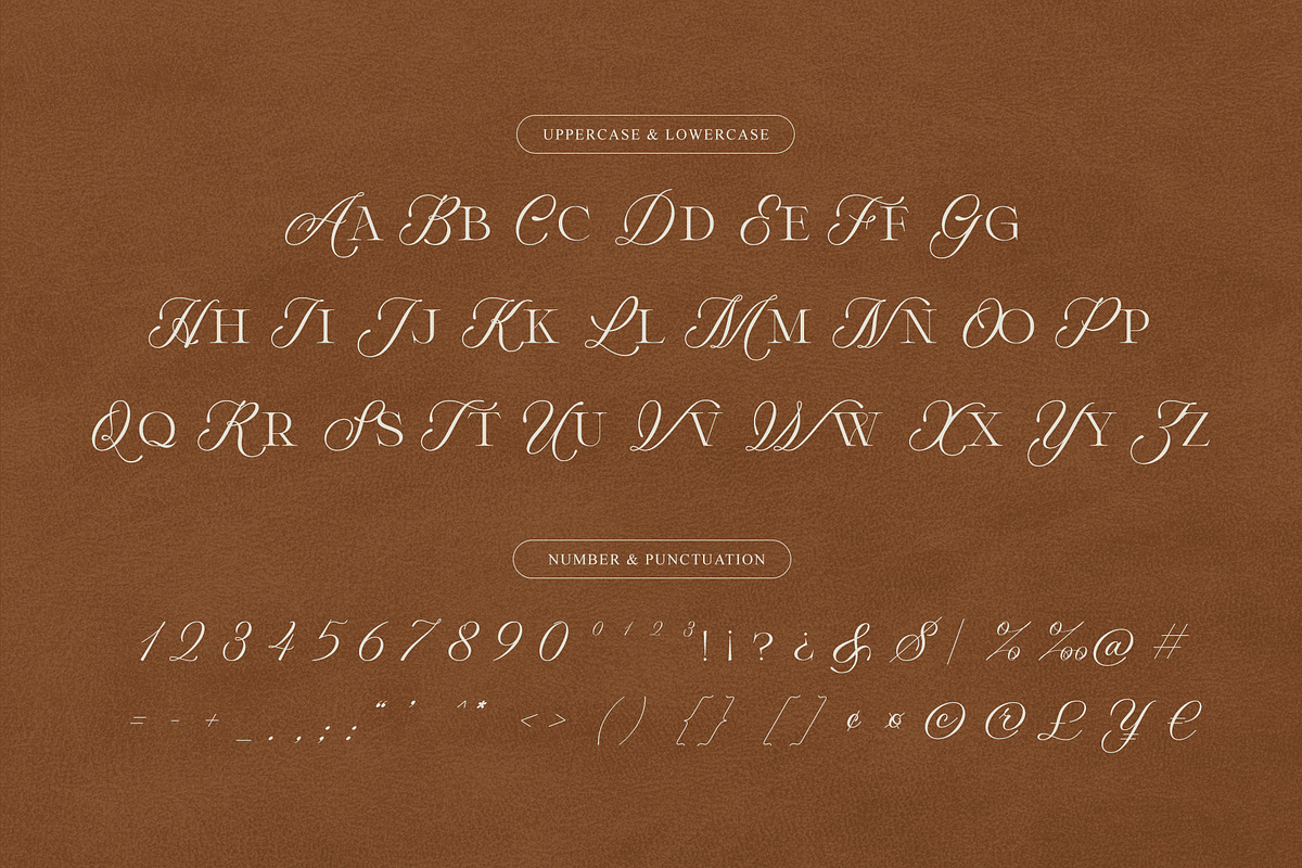 Winter Solace – Calligraphic Serif, a Serif Font by Krismagraph (Photo 9 of 10)