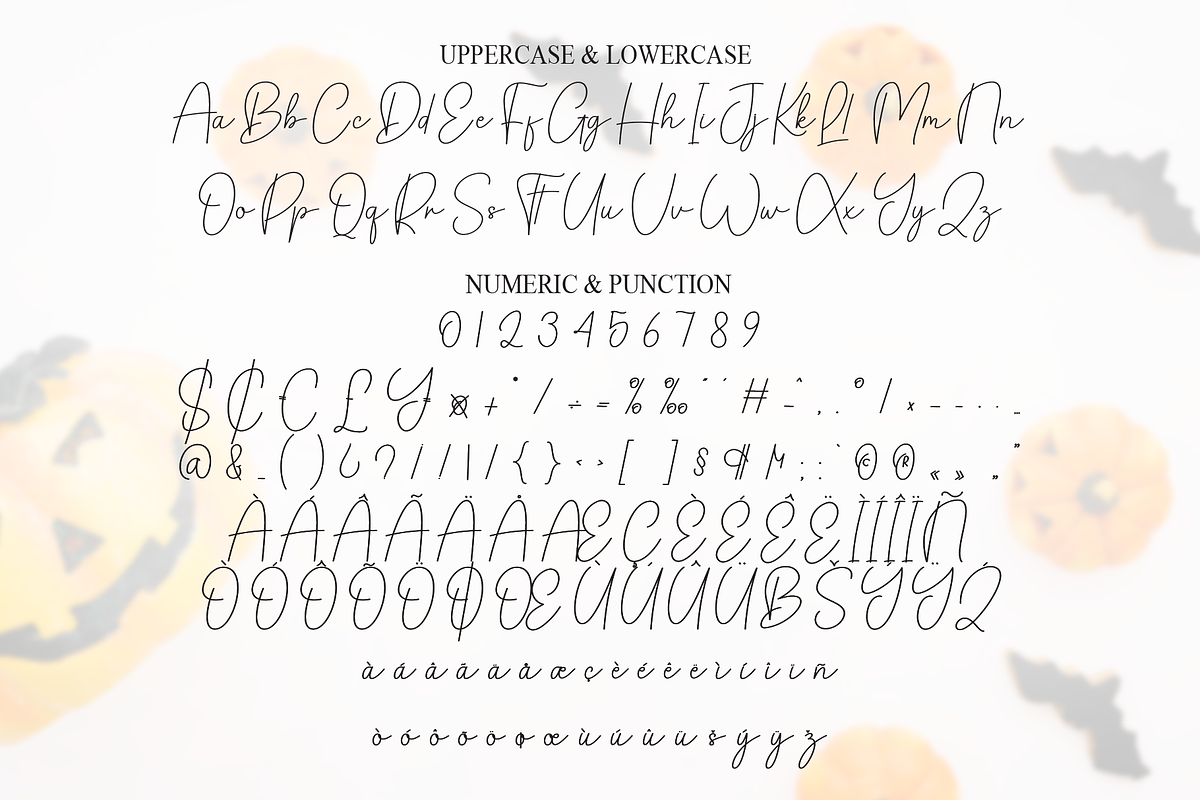 Pumpkin Signature | Script Font, a Handwritten Font by Scratchones (Photo 7 of 8)