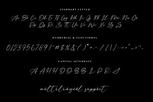 Anisther - Elegant Signature Font