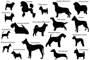 Dog breeds, an Animal Illustration by Viktoria.1703