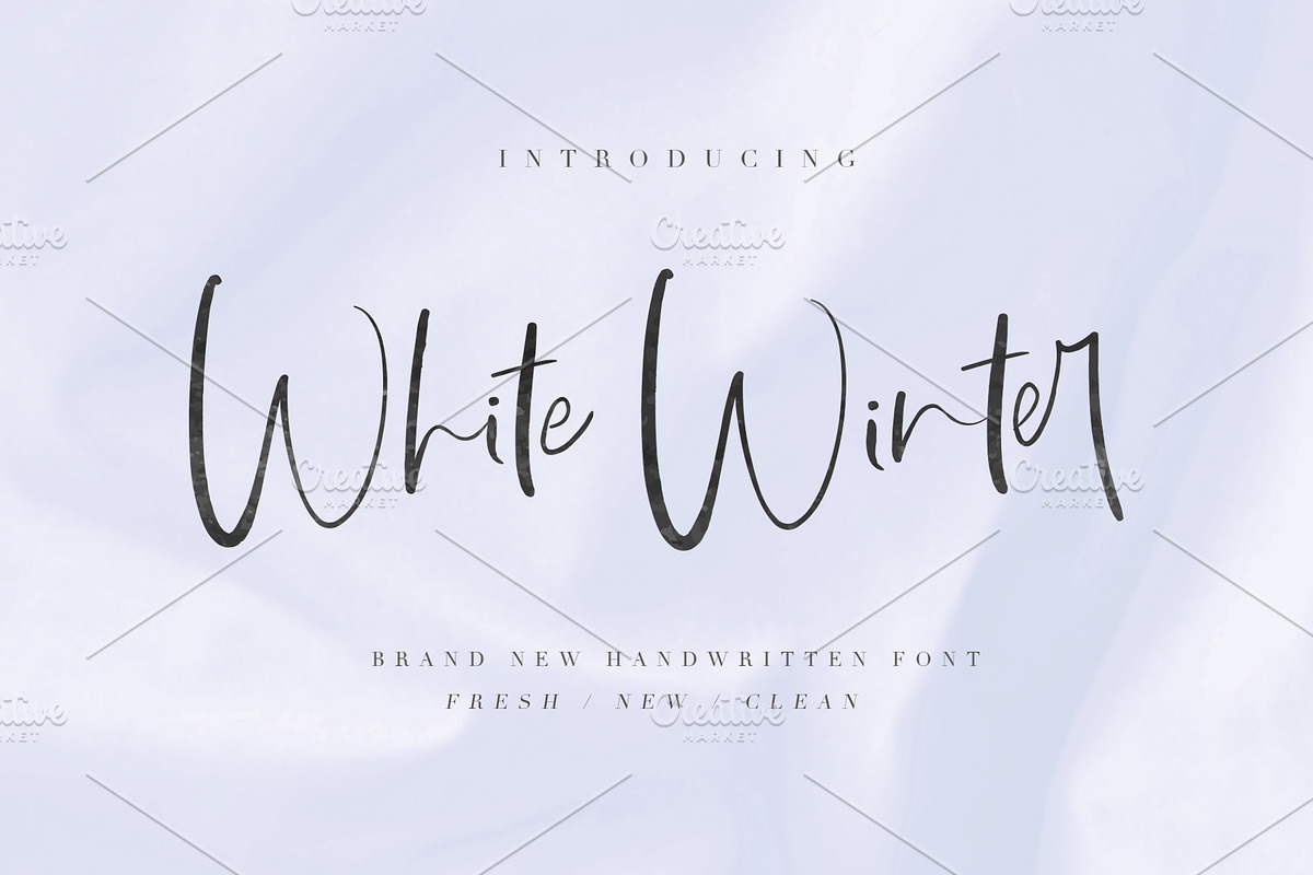 White Winter, a Script Font by Chocotype Std (Photo 1 of 15)