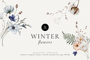 Winter Flowers Watercolor Set, a Decorative Illustration by Watercolor_Ma (Thumbnail 1 of 8)