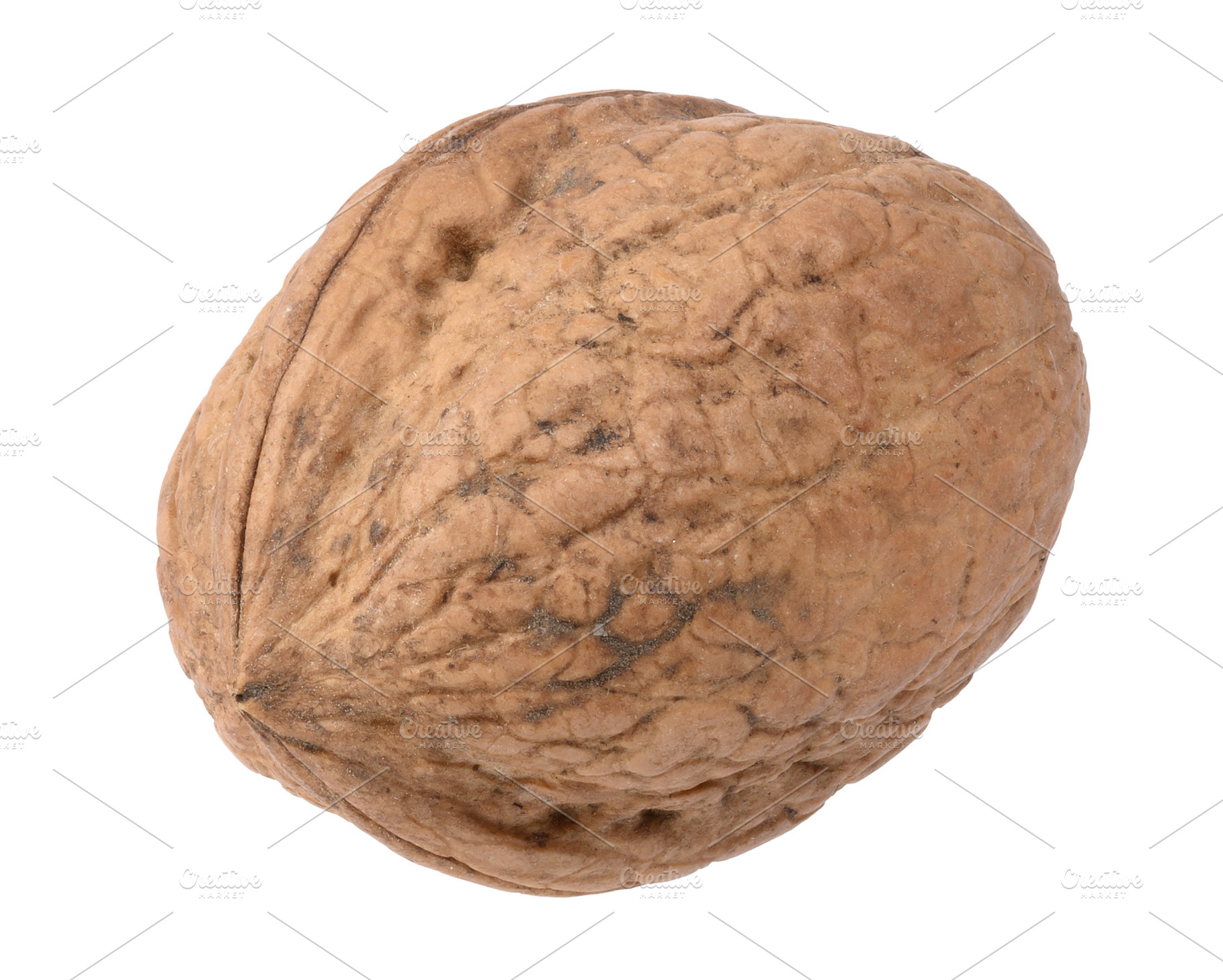 Whole walnut in its shell with pronounced texture and grooves, a Food & Drink Photo by ndanko