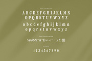 Hibrida Bold Serif Font, a Serif Font by Perfectype (Thumbnail 7 of 8)