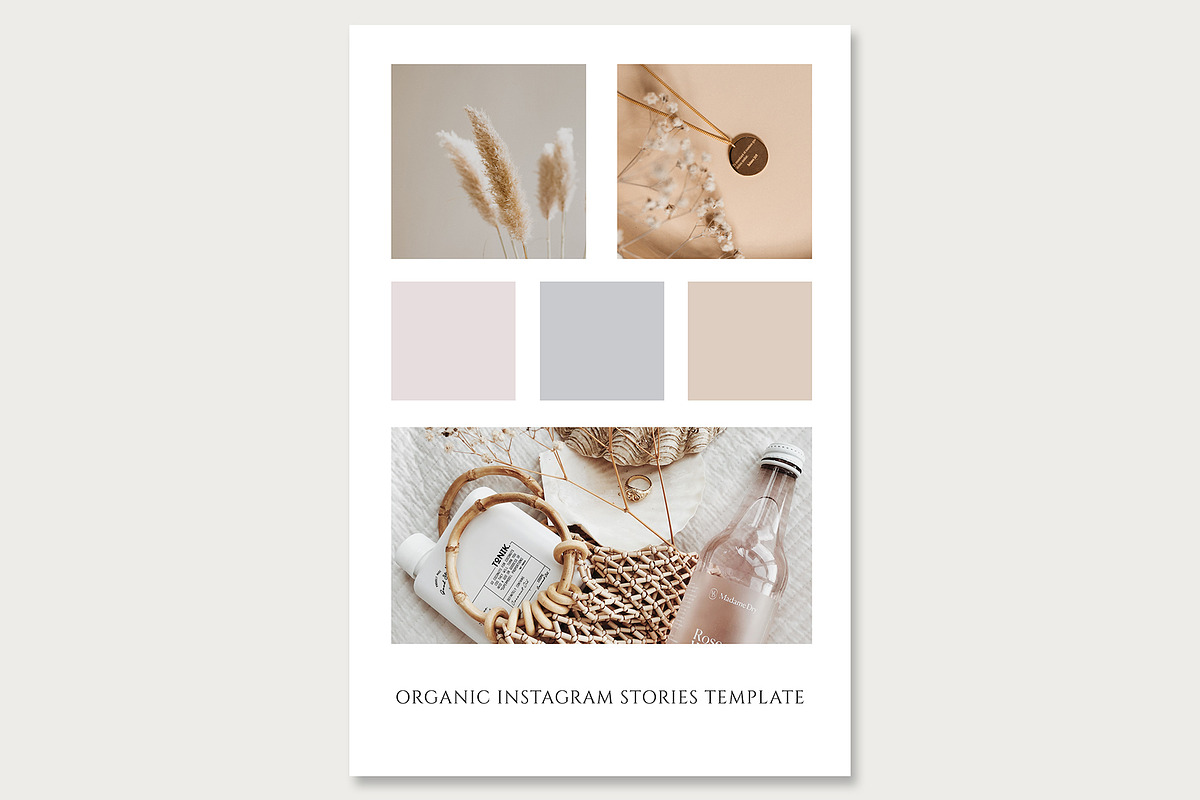 Instagram Stories Template Organic, a Social Media Template by Bumblebee (Photo 6 of 9)