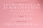 Chathaleya - Modern Script, a Script Font by Lemon Studio Type (Thumbnail 4 of 6)