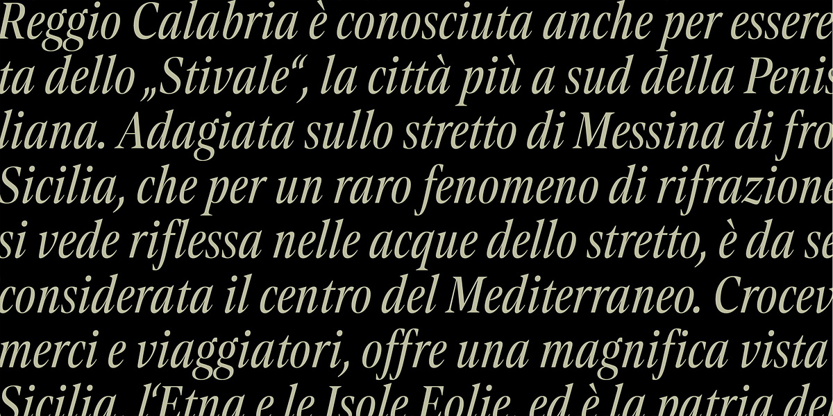 Contane Text Condensed, a Serif Font by Hoftype (Photo 6 of 11)