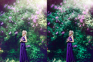 10xLightroom Presets Peacock Presets