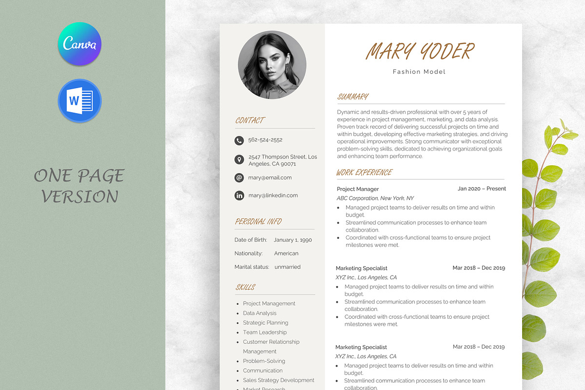Resume / CV Template Word & Canva, a Resume Template by Anjum Ilyas (Photo 2 of 7)