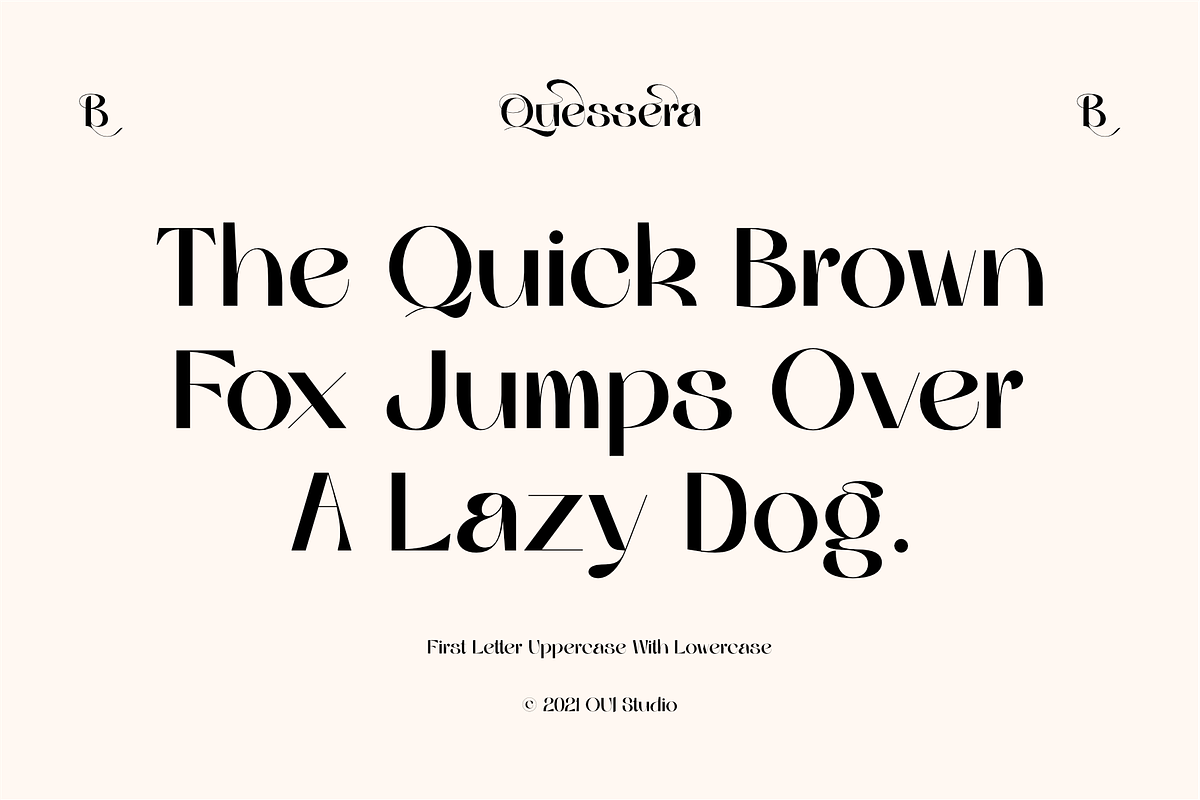 Quessera Font, a Sans Serif Font by Oui Studio (Photo 4 of 21)